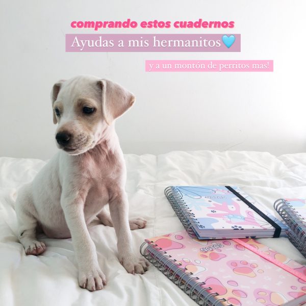 Cuaderno Veterinario - Huellas durazno